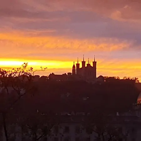 Allinlyon | Vue Hotel-dieu & Charme Haussmannien Lyon